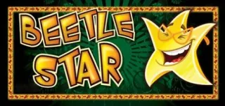 Beetle Star