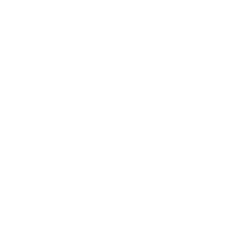 Orca