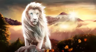 White King